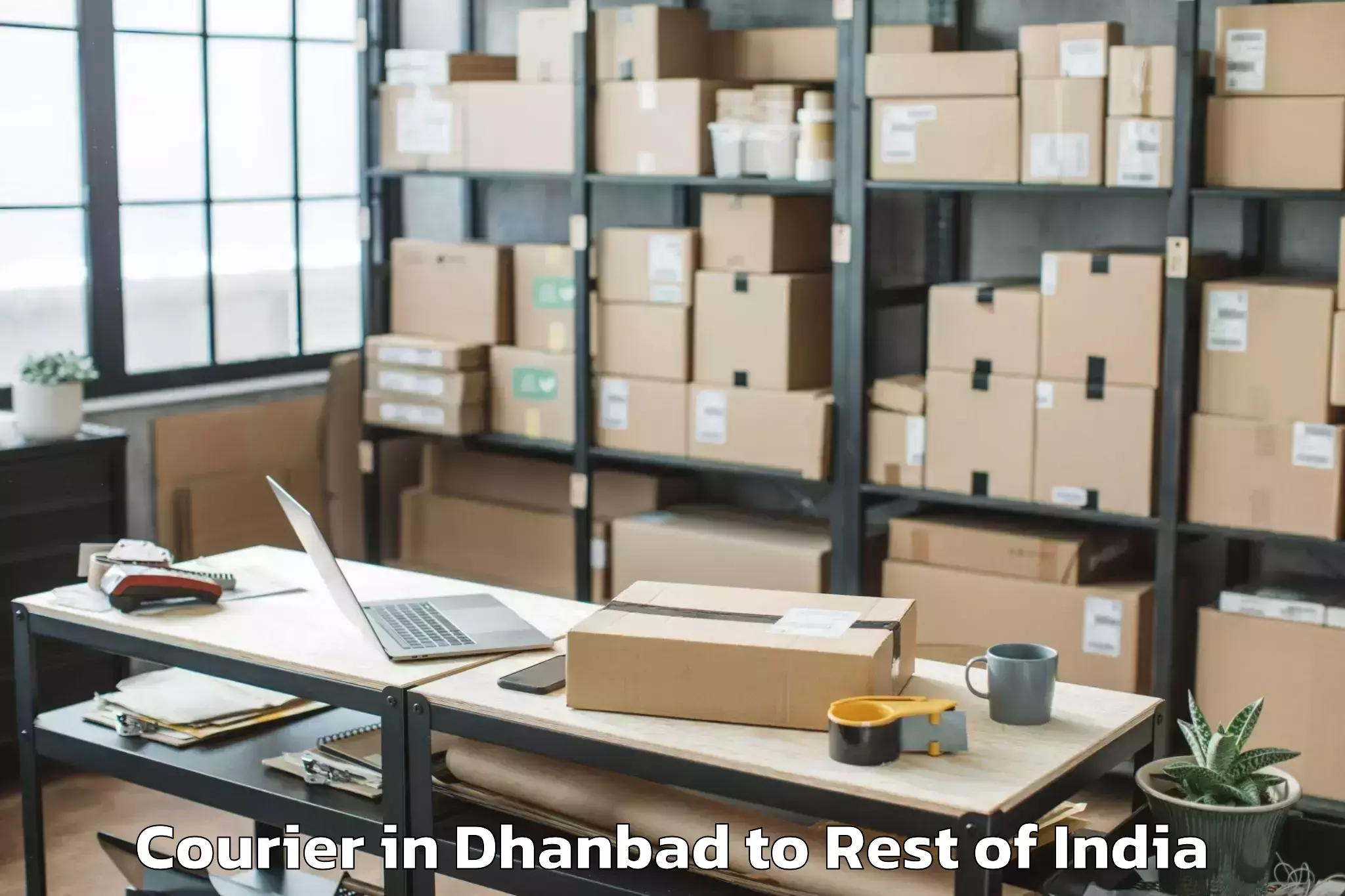 Easy Dhanbad to Bhikiyasan Courier Booking